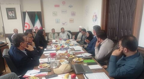 نشست تخصصی هم اندیشی اجرای طرح آزمایشی ایجاد شبکه داوطلبان برگزار شد