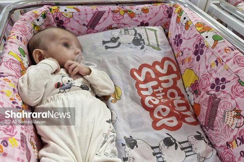 شیرخوارگاه