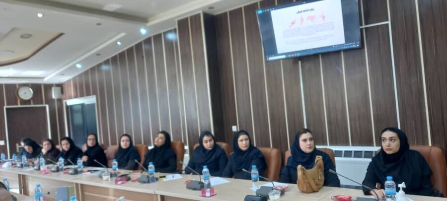 جلسه آموزشی مترجمی زبان اشاره