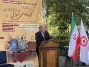 "اقتصاد نقره‌ای"، فرصت تازه توسعه و اشتغال در ایران