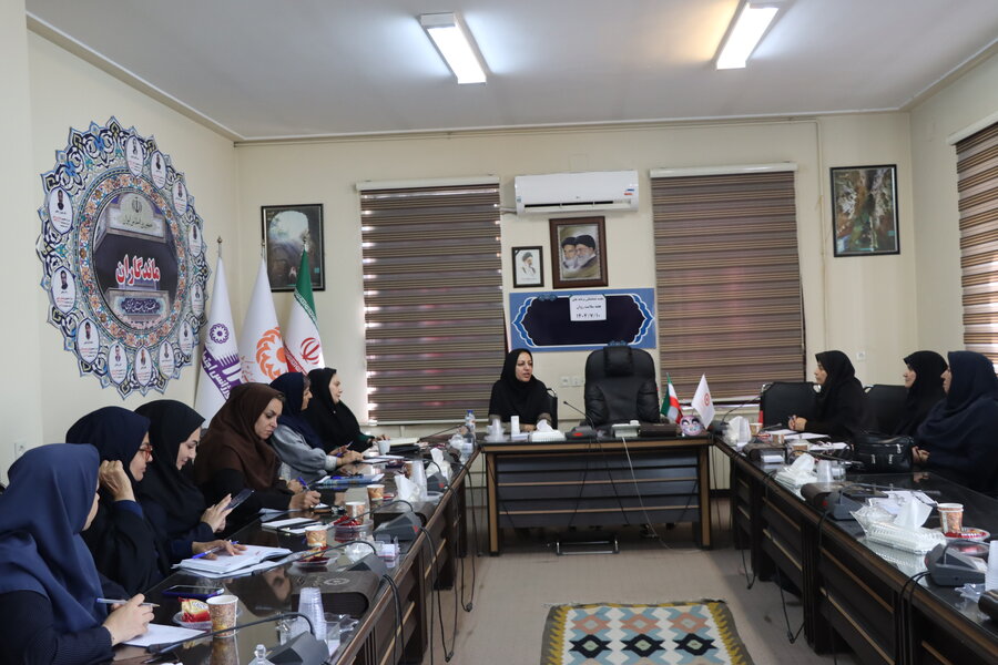  برنامه‌های متنوع هفته سلامت روان با محوریت مشاوره و آموزش بانوان دستگاه‌ها در استان برگزار می‌شود
