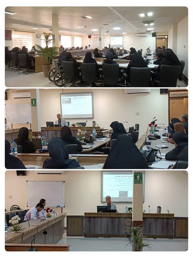 در راستای افزایش میزان آشنایی کارشناسان امور اجتماعی با عوامل خطر و محافظت ‌کننده در خودکشی انجام گرفت