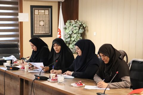 نشست هم اندیشی با سایر دستگاه های مرتبط جهت اجرای برنامه های هفته ملی کودک