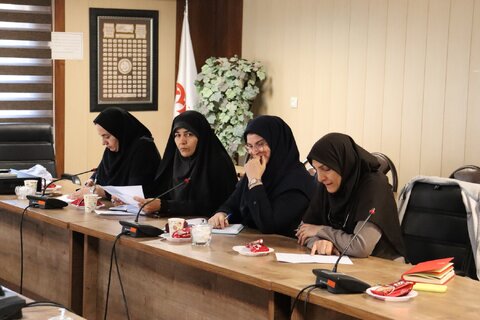 نشست هم اندیشی با سایر دستگاه های مرتبط جهت اجرای برنامه های هفته ملی کودک