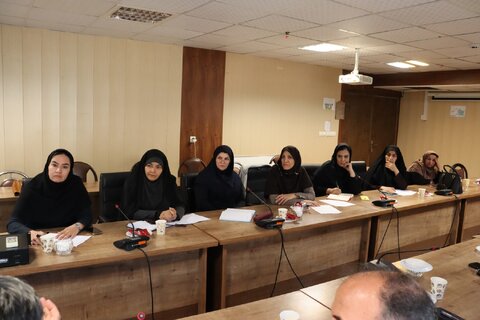 نشست هم اندیشی با سایر دستگاه های مرتبط جهت اجرای برنامه های هفته ملی کودک