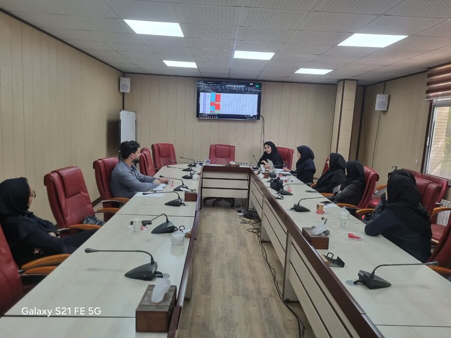 جلسه ارزیابی برنامه غربالگری شنوایی نوزادان و شیرخواران برگزار شد