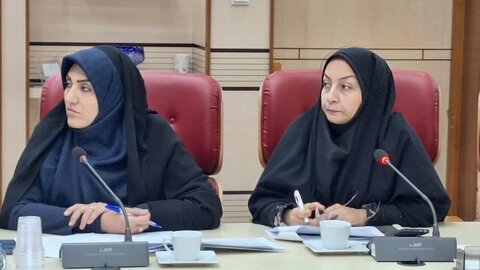 ۸۵ نفر از معلولان در دستگاههای اجرایی استان قزوین جذب شدند