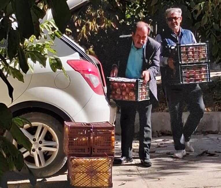 هدیه خیّرنیکوکار تکابی به جامعه هدف بهزیستی شهرستان 