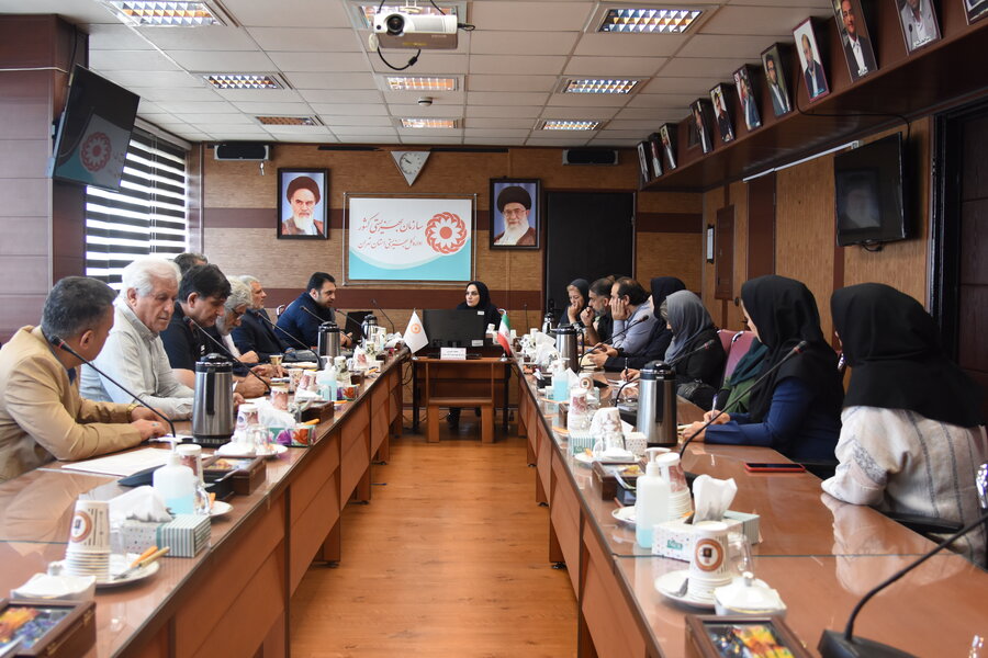 تأکید بر نقش رویدادهای فرهنگی در ارتقای جایگاه هنرمندان دارای معلولیت در نشست هم‌اندیشی با دبیر جشنواره همام