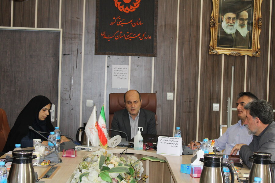 جلسه کارگروه مشورتی قانون حمایت از حقوق افراد دارای معلولیت

