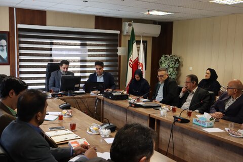 نشست کارگروه قانون حمایت از حقوق افراد دارای معلولیت
