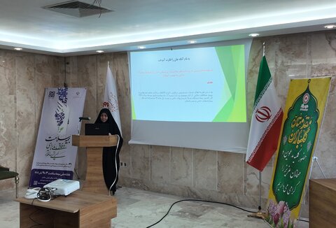 گزارش تصویری/ مددکاران و کارشناسان بهزیستی با خدمات بیمه سلامت به مددجویان آشنا شدند