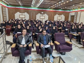 برگزاری کارگاه آموزشی سامانه جامع اشتغال و دستورالعملهای اشتغال در بهزیستی استان