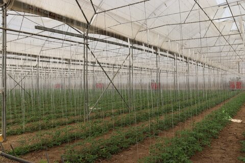 بازدید مدیرکل بهزیستی استان