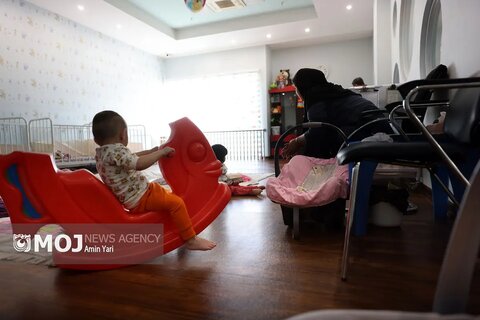 گزارش تصویری | اولین اتاق شیشه ای کمیته های تخصصی بهزیستی