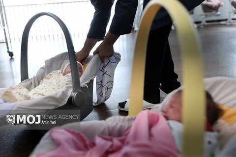 گزارش تصویری | اولین اتاق شیشه ای کمیته های تخصصی بهزیستی