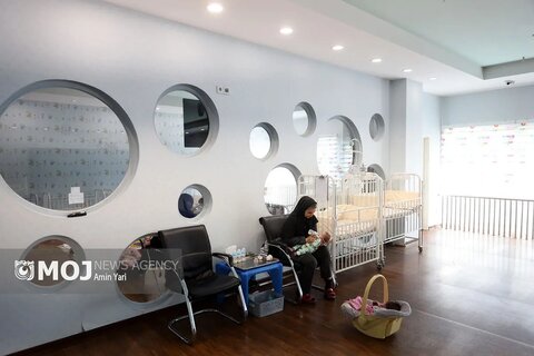 گزارش تصویری | اولین اتاق شیشه ای کمیته های تخصصی بهزیستی