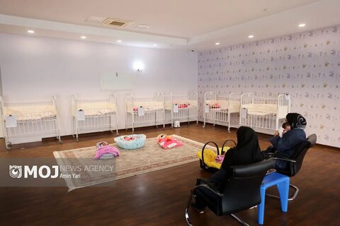 گزارش تصویری | اولین اتاق شیشه ای کمیته های تخصصی بهزیستی