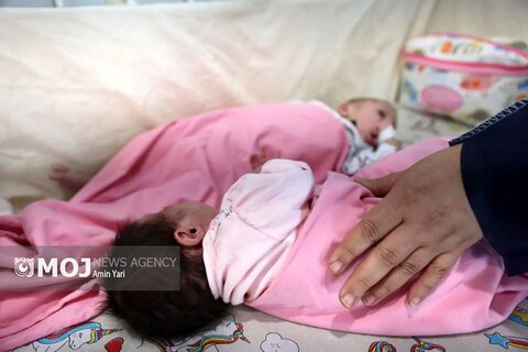 گزارش تصویری | اولین اتاق شیشه ای کمیته های تخصصی بهزیستی