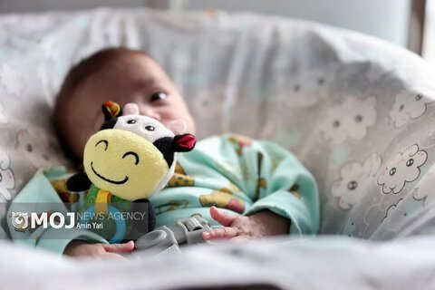 گزارش تصویری | اولین اتاق شیشه ای کمیته های تخصصی بهزیستی