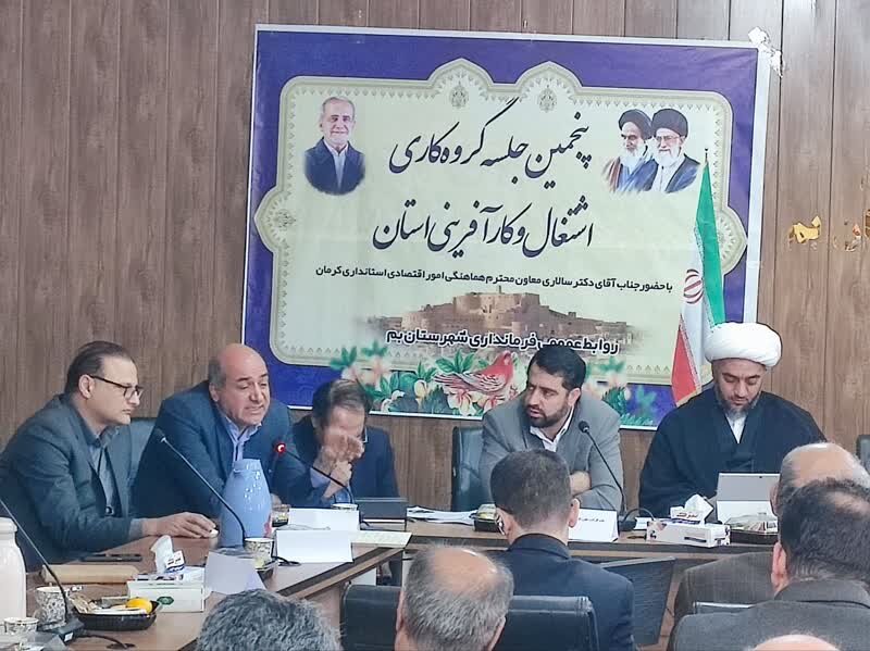 نشست مدیران دستگاه های زیرمجموعه وزارت رفاه در خصوص سامان دهی تسهیلات اشتغال شرق استان