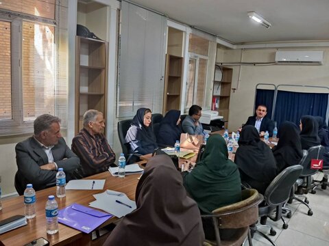 برگزاری جلسه هم‌اندیشی بررسی اجرای دستورالعمل پرداخت کمک‌هزینه وسایل کمک‌ توانبخشی در خوزستان