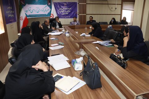 کمیته تخصصی امور رفاهی و حقوقی سالمندان