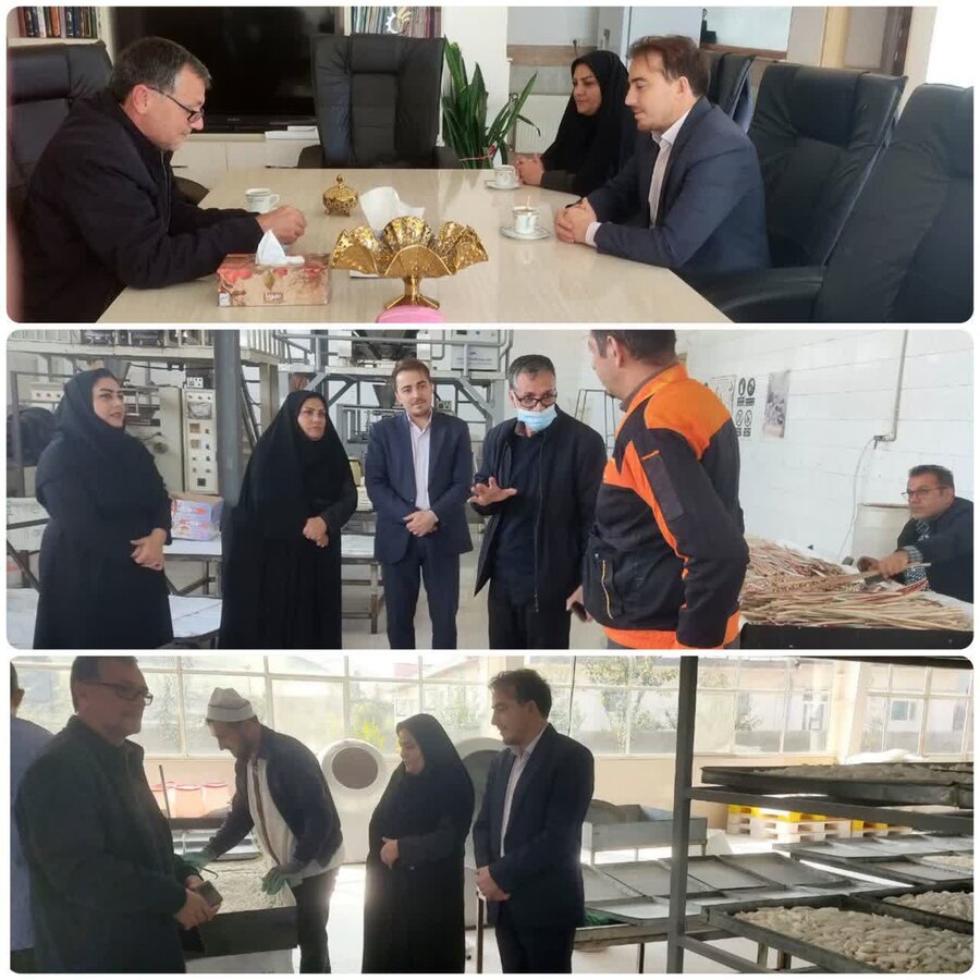 گرمی| بازدید از کارخانه شیرینی‌پزی گلشن نبات مغان شهرستان گرمی
