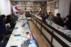 تأکید بر اشتغال، مناسب‌سازی و حضور مشاوران دارای معلولیت در مدیریت شهری