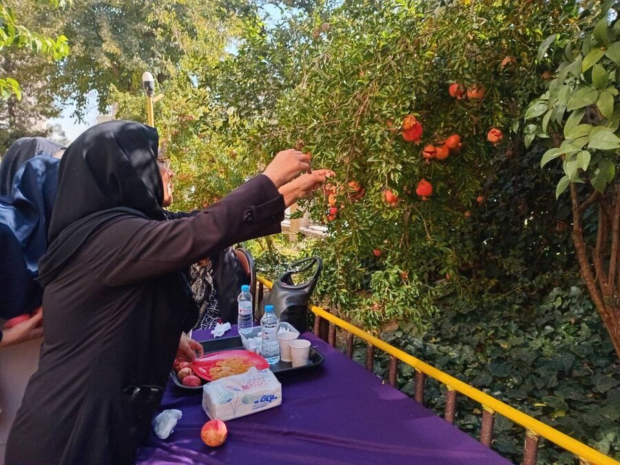 شهرتهران | جشن انار در مرکز توانبخشی نابینایان خزانه؛ کودکان با دستان کوچک خود زندگی را لمس کردند