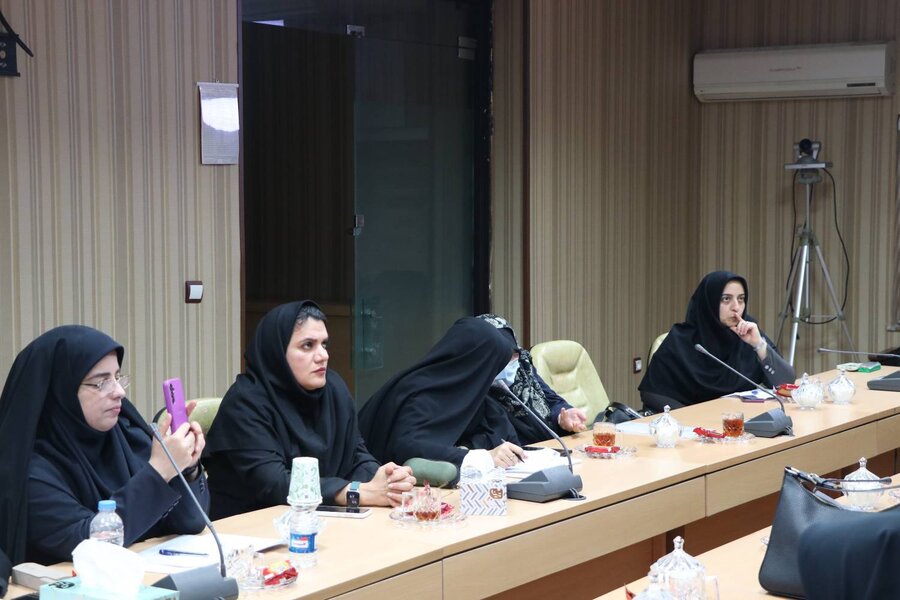 نشست کمیته های تخصصی سالمندان استان  