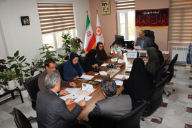 کمیته انتخاب و شناسایی بانوان پیشرو و سرآمد