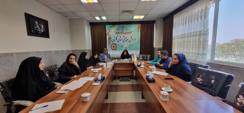 برگزاری جلسه کمیته نظارت مراکز و موسسات غیردولتی تحت نظارت بهزیستی گلستان