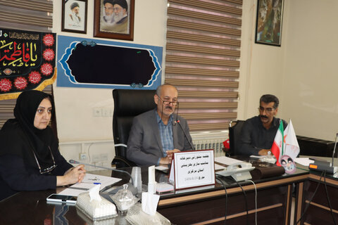 جلسه مشورتی ویژه بررسی وضعیت مناسب‌سازی و دسترس‌پذیری خدمات شهری