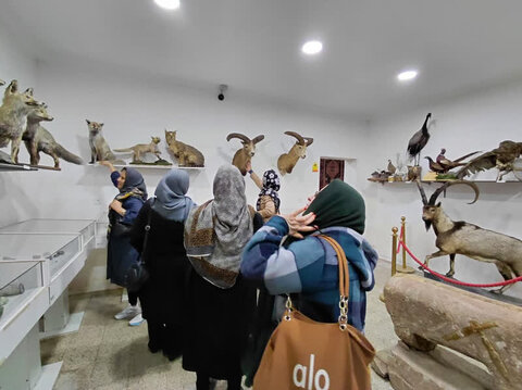 آذر-شرقی.جلفا