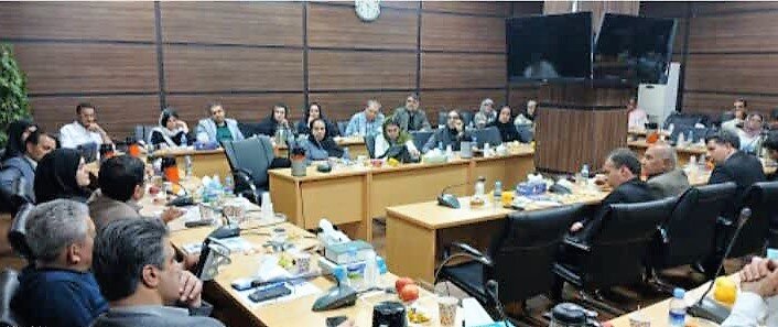 جامعه معلولین