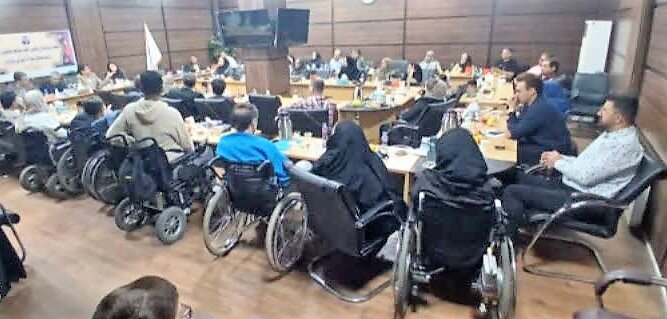 جامعه معلولین