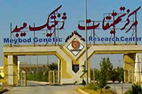 برگزاری میز خدمت مرکز تحقیقات ژنتیک میبد در مصلای نماز جمعه شهرستان زارچ