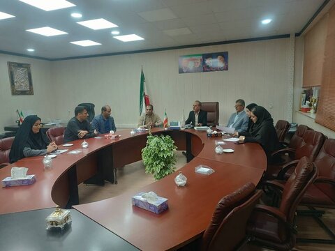 هماهنگی برای برگزاری باشکوه روز جهانی معلولین در استان