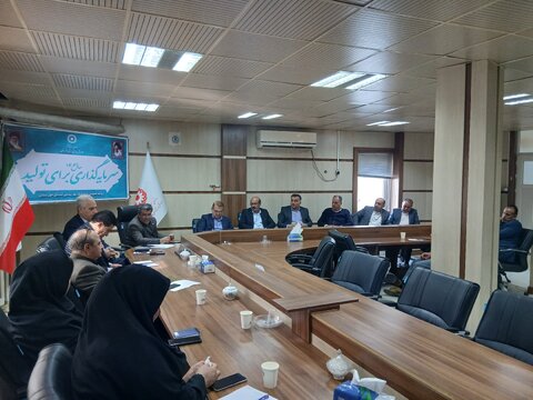 جلسه شورای معاونین بهزیستی خوزستان با محوریت طرح سلام و هفته افراد دارای معلولیت