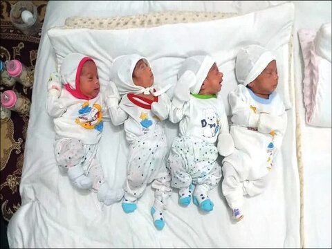 تداوم اجرای طرح حمایت از خانواده‌های دارای فرزندان چندقلو