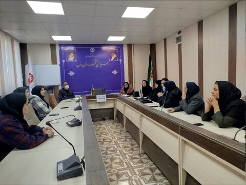 دومین جلسه گروه‌های همیار و برنامه‌های روز جهانی افراد دارای معلولیت در رزن