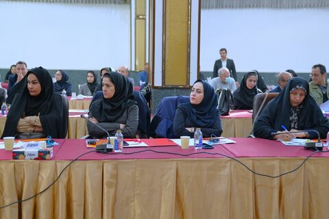 رئیس سازمان بهزیستی و مدیرکل بهزیستی گیلان درهمایش محیط دوستدار سالمند