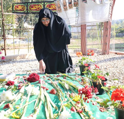 بهزیستی استان مازندران