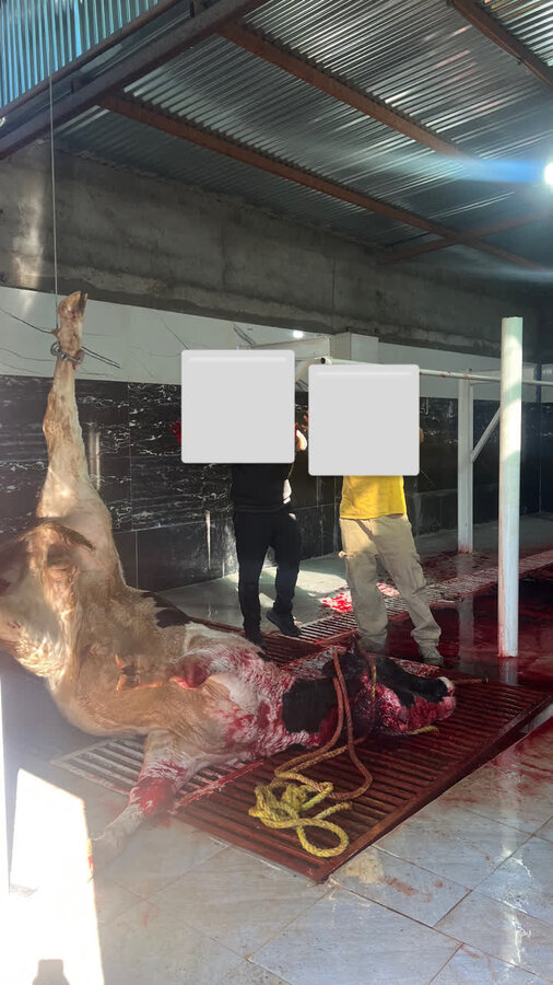 به گزارش روابط عمومی اداره بهزیستی شهرستان بهاباد