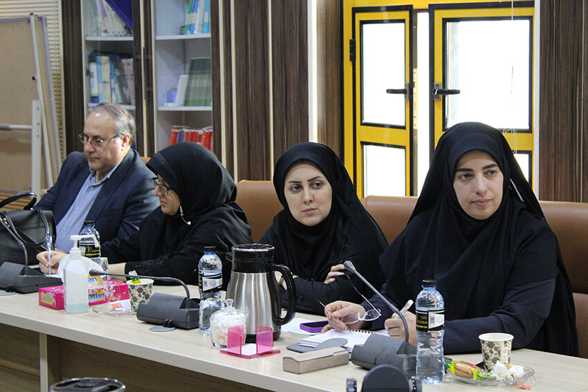 کارگروه سالمندان ذیل شورای سالمندان استان گیلان برگزار شد