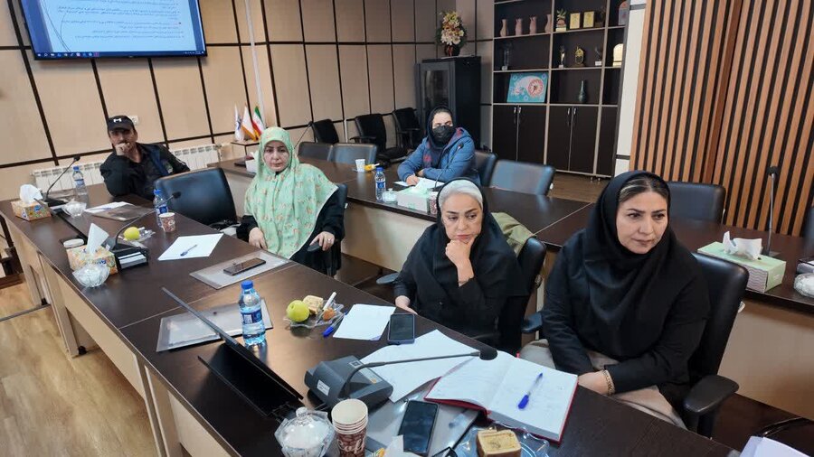 کارگاه آموزشی «سامانه خدمات اشتغال و بیمه» در بهزیستی کردستان برگزار شد