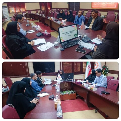 برگزاری کارگروه مشترک بهزیستی و نهضت سوادآموزی استان خراسان جنوبی