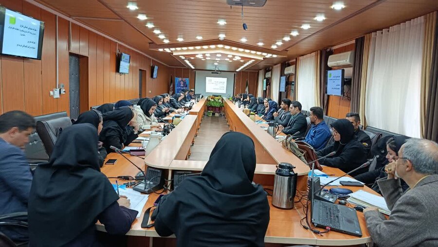 کارگاه آموزشی آگاهسازی و پیشگیری از معلولیت های دوران سالمندی برگزار شد.