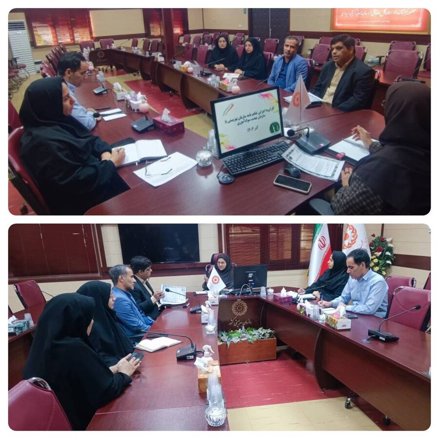 برگزاری کارگروه مشترک بهزیستی و نهضت سوادآموزی استان خراسان جنوبی